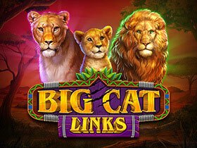 big_cat_links_online_casino_pokie
